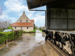 Villa Ichtegem Umgebung 38