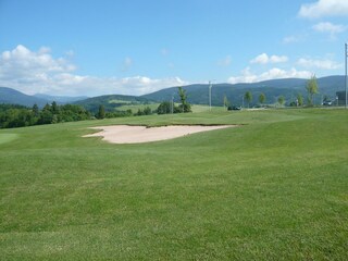 Vakantiehuis Horní Maršov Omgeving 30