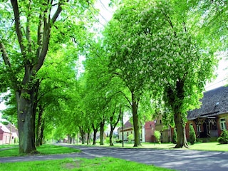 Vakantiehuis Buchholz bei Röbel Omgeving 28