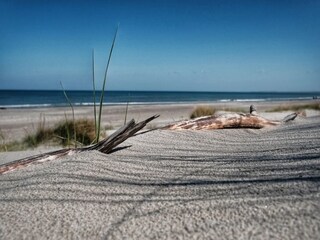 Ferienhaus Buchholz bei Röbel Umgebung 43