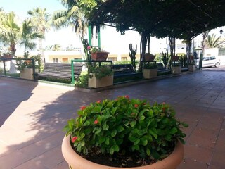 Appartement Los Gigantes Buitenaudio-opname 12