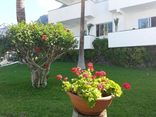 Appartement Los Gigantes Enregistrement extérieur 7