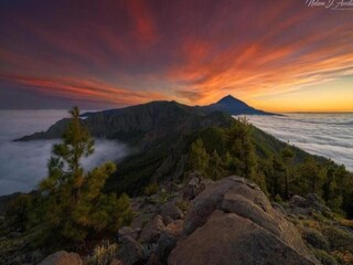 Appartamento Los Gigantes Ambiente 30