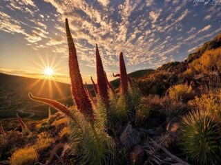 Apartamento Los Gigantes Entorno 24