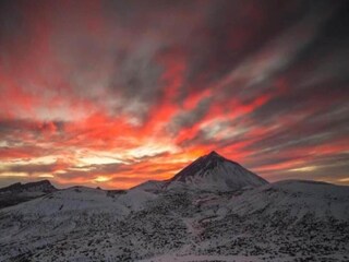 Apartment Los Gigantes Umgebung 23