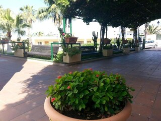 Apartment Los Gigantes Außenaufnahme 2