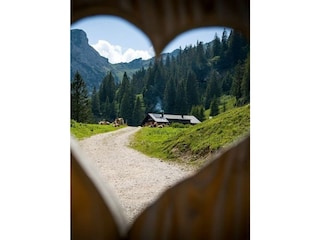 Bergwelt Hahnenkamm