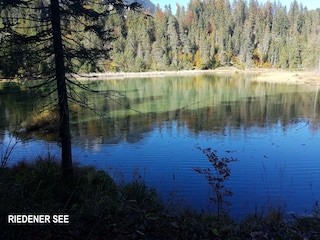 Appartamento per vacanze Höfen Ambiente 37