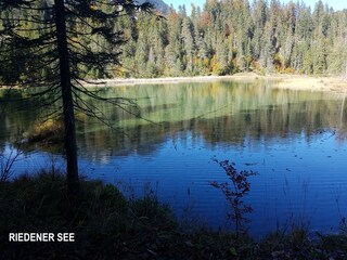 Appartement de vacances Höfen Environnement 43