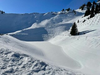 Bergwelt Hahnenkamm