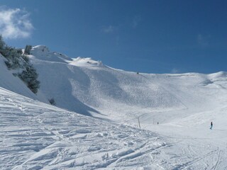 Bergwelt Hahnenkamm - Skigebiet