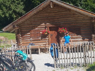 Apartamento de vacaciones Höfen Entorno 46