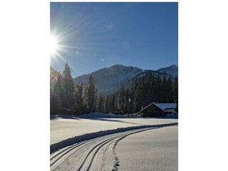 Appartement de vacances Höfen Environnement 46