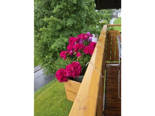 Apartamento de vacaciones Höfen Grabación al aire libre 6