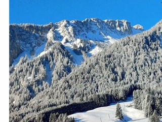 Bergwelt Hahnenkamm