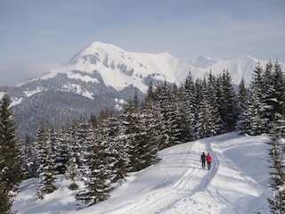 Winterwandern