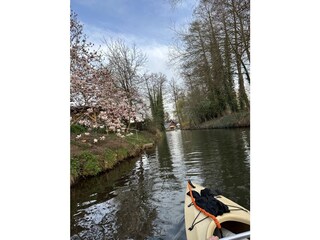 Vakantieappartement Burg im Spreewald Omgeving 21