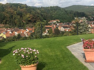 Terrasse und Garten