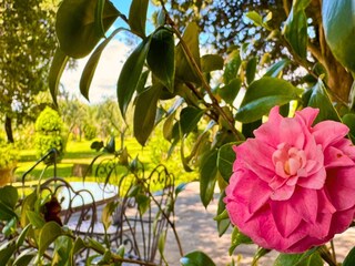 Villa Bagno a Ripoli Outdoor Recording 1