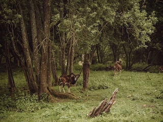 Appartement Ostrowice Enregistrement extérieur 8