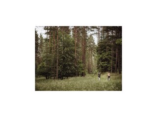 Appartamento Ostrowice Ambiente 24