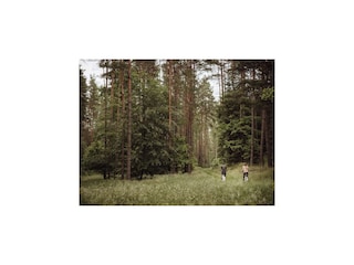 Appartement Ostrowice Environnement 24