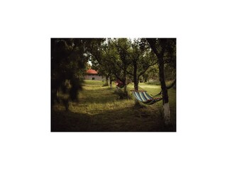 Appartamento Ostrowice Registrazione all'aperto 6