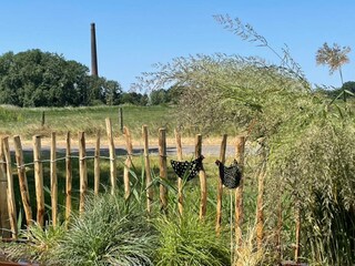 Aussicht von aus dem Garten