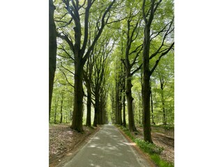 Auf dem Fahrrad durch dem Mirnserbos