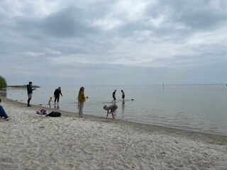 Appartamento per vacanze Lemmer Ambiente 21