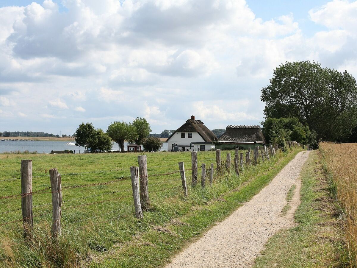 Wander und Fahrradausflüge rund um die Schlei