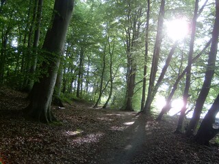 Tiefwarensee
