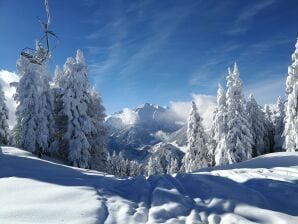 Parc de vacances Appartement Daniela, Hippach im Zillertal - Hippach - image1