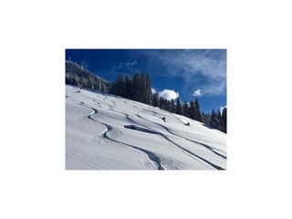 Parco vacanze Hippach Ambiente 18