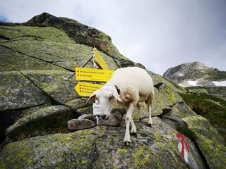 Parc de vacances Hippach Environnement 15