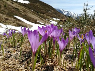 Parc de vacances Hippach Environnement 25