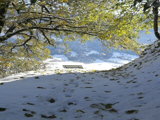 Parc de vacances Hippach Environnement 16