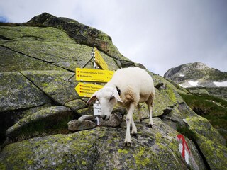 Parc de vacances Hippach Environnement 19