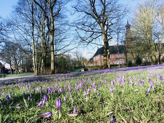 Appartamento per vacanze Horstedt (Nordfriesland) Ambiente 20