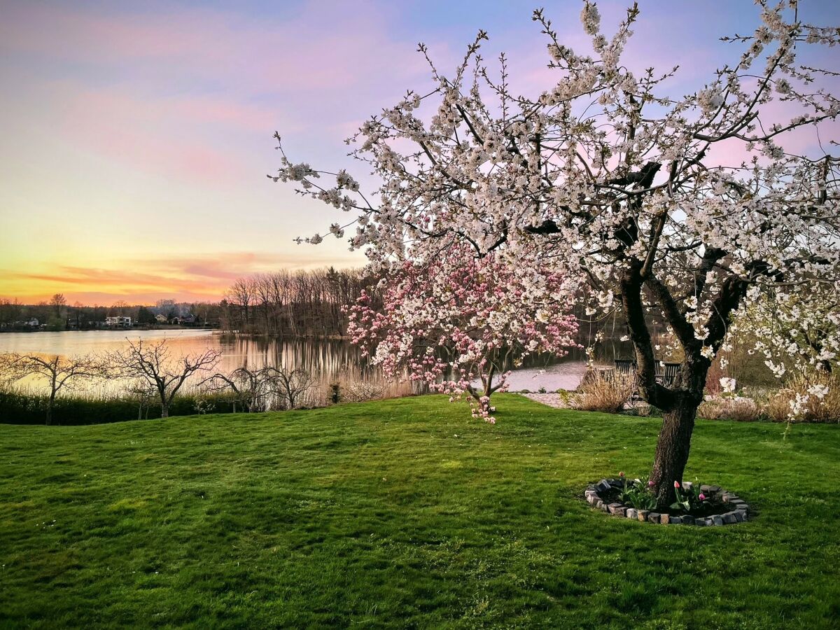 Abendstimmung Krummmensee