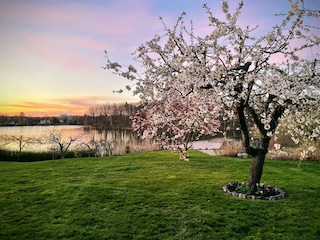 Holiday apartment Mittenwalde Environment 21