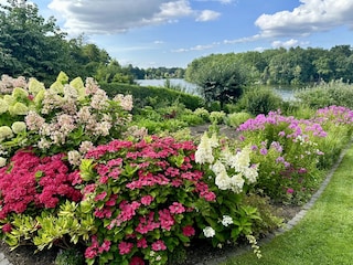 Ausblick vom Garten