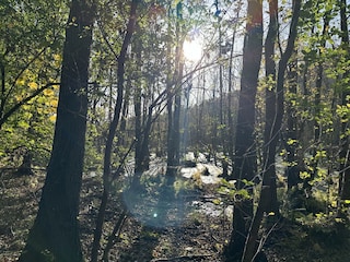 Sutschketal Nature Reserve