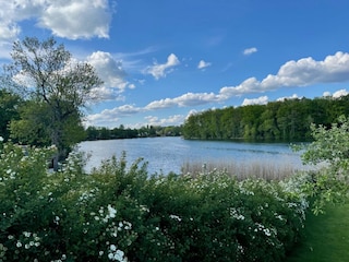 Krummer See