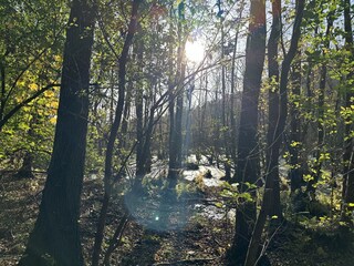 Sutschketal Nature Reserve