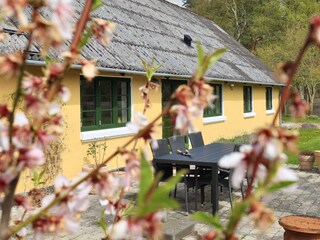 Vakantiehuis Læsø  29