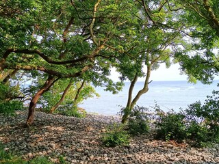 Vakantiehuis Klintholm Havn  13