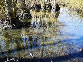 Maison de vacances Klintholm Havn  36