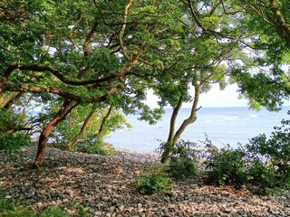 Vakantiehuis Klintholm Havn  39