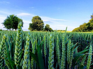 Casa de vacaciones Klintholm Havn  36